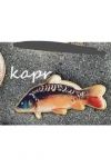 Rybářský odznak - Kapr
