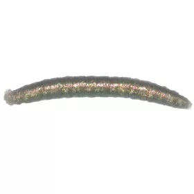 Revol Baits nástraha Crane Fly larva 45mm příchuť sýr-česnek, barva šedý chameleon 12ks