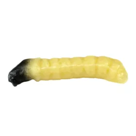 Revol Baits nástraha Caddis Larva 30mm příchuť sýr-česnek, barva natural 10ks