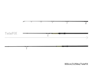 10+1 - Delphin STALX