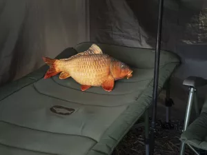 Plyšový kapor Delphin CARPY