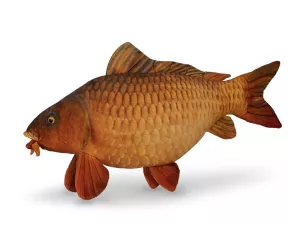 Plyšový kapor Delphin CARPY