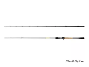 Delphin Zandera B-CAST