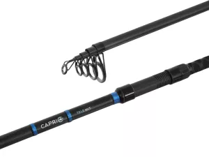 Delphin CAPRI Tele NXT