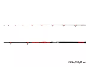 Delphin DANGER CatFISH