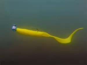 Jigová hlava s držiakom Delphin TYRE / 3ks