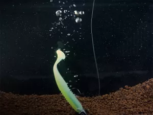 Jigová hlava s golierikom Delphin TRIAD / 5ks