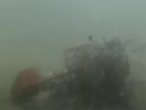 Krmítko Delphin LongSHOT+