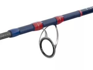 Delphin FYORD BigBOAT Delphin FYORD BigBOAT