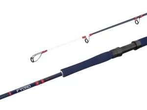 Delphin FYORD BigBOAT Delphin FYORD BigBOAT