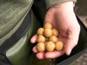 Zakrmovacia ľadvinka Delphin BAITYX