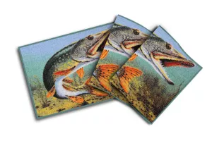 Rohož 3D šťuka DELPHIN