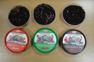 Čerstvé žížaly Dendrobena velikost 4