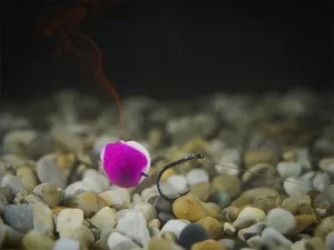 Feedrový nadväzec Delphin Fluoro Sting / 10ks