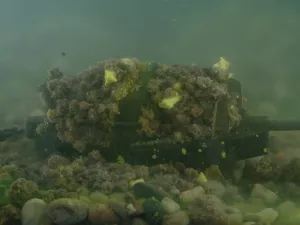 Krmítko bez olova Delphin Method QUIX ECO XL