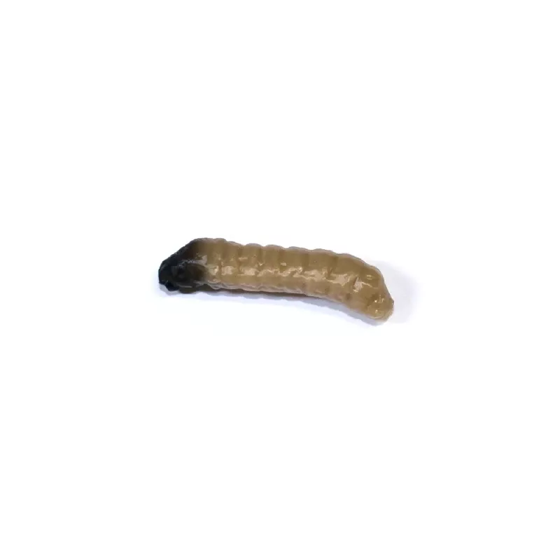 Revol Baits nástraha Caddis Larva 20mm příchuť krevetka, barva tmavě béžová 10ks