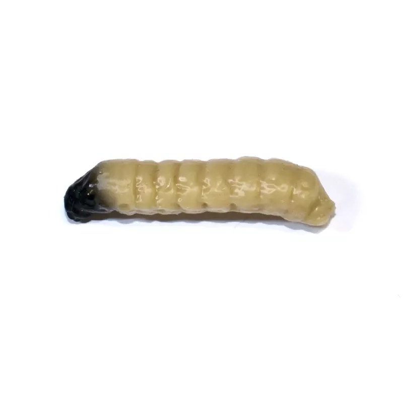 Revol Baits nástraha Caddis Larva 30mm příchuť krevetka, barva světle béžová 10ks
