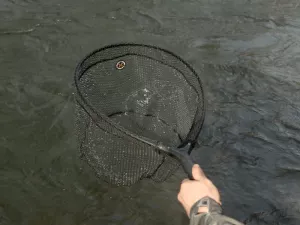 Prívlačový podberák Delphin SHORX