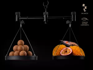Vyvážené boilies Delphin BreaX/PassionKRILL