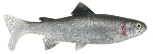 Uni Cat nástraha Trout, 15 cm Vzor BG, 2ks/bal