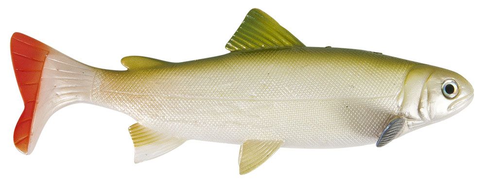 Uni Cat nástraha Trout, 15 cm Vzor GT, 2ks/bal Saenger